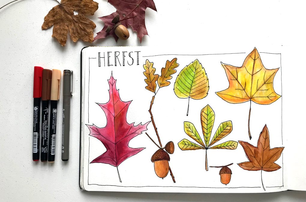 #5 Herfstbladeren tekenen
